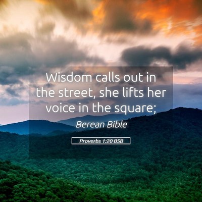 Picture 05 - Proverbs 1:20 BSB - Wisdom calls out in the street, she lifts her - Bible Verse Picture