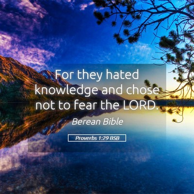 Picture 05 - Proverbs 1:29 BSB - For they hated knowledge and chose not to fear - Bible Verse Picture