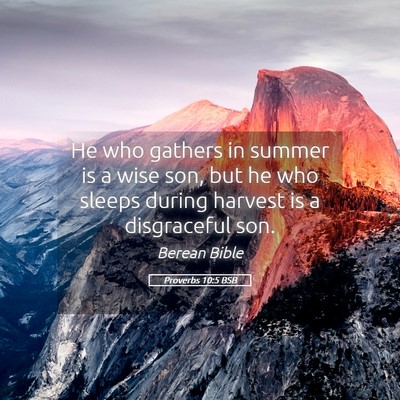 Picture 05 - Proverbs 10:5 BSB - He who gathers in summer is a wise son, but he - Bible Verse Picture