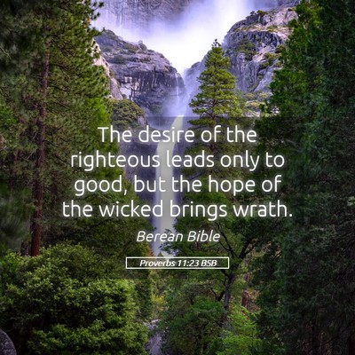 Picture 05 - Proverbs 11:23 BSB - The desire of the righteous leads only to good, - Bible Verse Picture