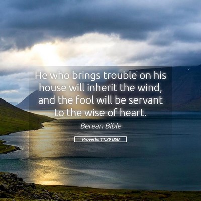 Picture 05 - Proverbs 11:29 BSB - He who brings trouble on his house will inherit - Bible Verse Picture