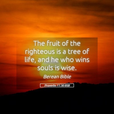 Picture 05 - Proverbs 11:30 BSB - The fruit of the righteous is a tree of life, and - Bible Verse Picture