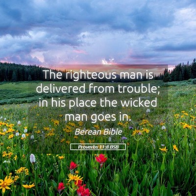 Picture 05 - Proverbs 11:8 BSB - The righteous man is delivered from trouble; in - Bible Verse Picture