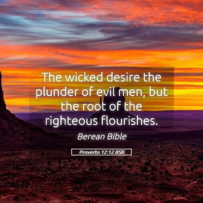 Picture 05 - Proverbs 12:12 BSB - The wicked desire the plunder of evil men, but - Bible Verse Picture