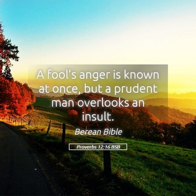 Picture 05 - Proverbs 12:16 BSB - A fool’s anger is known at once, but a prudent - Bible Verse Picture