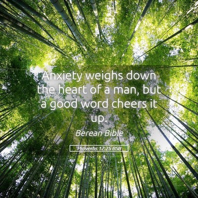 Picture 05 - Proverbs 12:25 BSB - Anxiety weighs down the heart of a man, but a - Bible Verse Picture