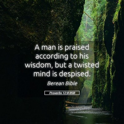 Picture 05 - Proverbs 12:8 BSB - A man is praised according to his wisdom, but a - Bible Verse Picture
