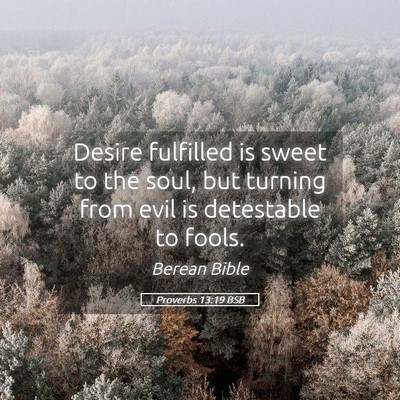 Picture 05 - Proverbs 13:19 BSB - Desire fulfilled is sweet to the soul, but - Bible Verse Picture