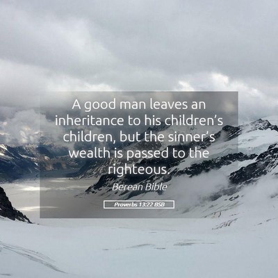 Picture 05 - Proverbs 13:22 BSB - A good man leaves an inheritance to his - Bible Verse Picture