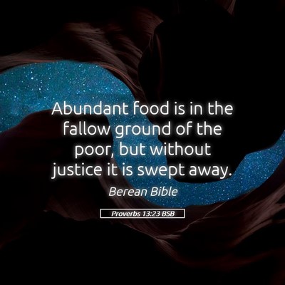 Picture 05 - Proverbs 13:23 BSB - Abundant food is in the fallow ground of the - Bible Verse Picture