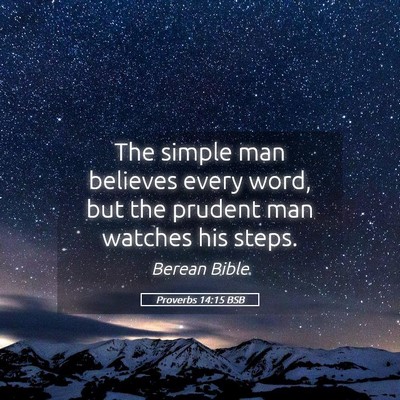 Picture 05 - Proverbs 14:15 BSB - The simple man believes every word, but the - Bible Verse Picture