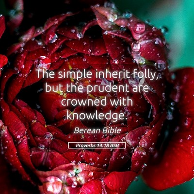Picture 05 - Proverbs 14:18 BSB - The simple inherit folly, but the prudent are - Bible Verse Picture