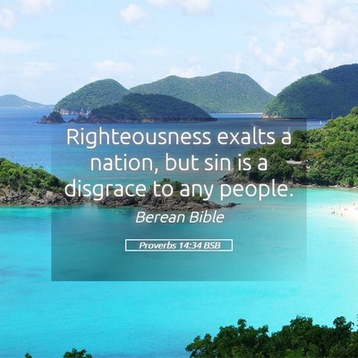 Picture 05 - Proverbs 14:34 BSB - Righteousness exalts a nation, but sin is a - Bible Verse Picture