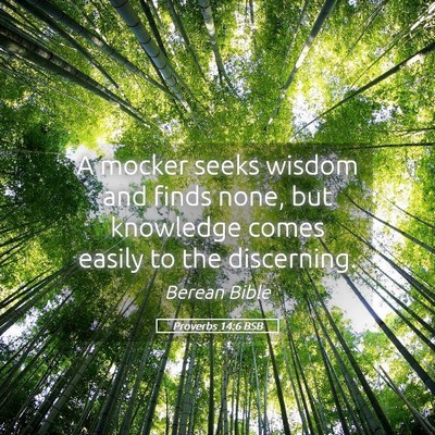 Picture 05 - Proverbs 14:6 BSB - A mocker seeks wisdom and finds none, but - Bible Verse Picture