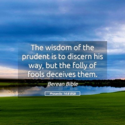 Picture 05 - Proverbs 14:8 BSB - The wisdom of the prudent is to discern his way, - Bible Verse Picture