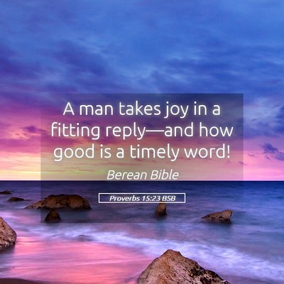 Picture 05 - Proverbs 15:23 BSB - A man takes joy in a fitting reply—and how good - Bible Verse Picture