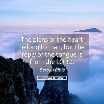 Picture 05 - Proverbs 16:1 BSB - The plans of the heart belong to man, but the - Bible Verse Picture
