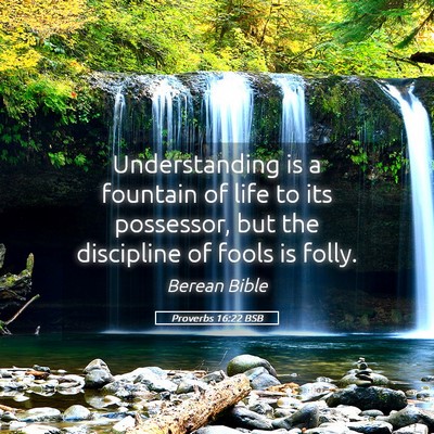 Picture 05 - Proverbs 16:22 BSB - Understanding is a fountain of life to its - Bible Verse Picture