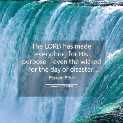 Picture 05 - Proverbs 16:4 BSB - The LORD has made everything for His - Bible Verse Picture