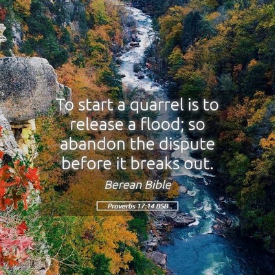 Picture 05 - Proverbs 17:14 BSB - To start a quarrel is to release a flood; so - Bible Verse Picture