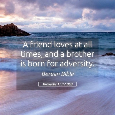 Picture 05 - Proverbs 17:17 BSB - A friend loves at all times, and a brother is - Bible Verse Picture