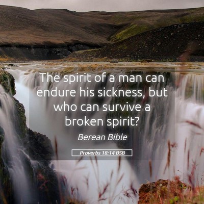 Picture 05 - Proverbs 18:14 BSB - The spirit of a man can endure his sickness, but - Bible Verse Picture