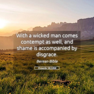 Picture 05 - Proverbs 18:3 BSB - With a wicked man comes contempt as well, and - Bible Verse Picture