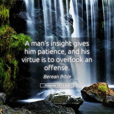 Picture 05 - Proverbs 19:11 BSB - A man’s insight gives him patience, and his - Bible Verse Picture