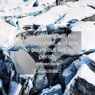 Picture 05 - Proverbs 19:9 BSB - A false witness will not go unpunished, and one - Bible Verse Picture