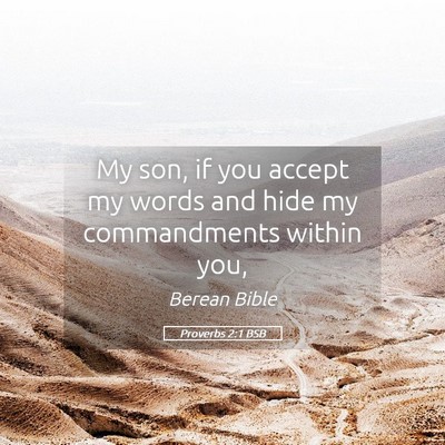 Picture 05 - Proverbs 2:1 BSB - My son, if you accept my words and hide my - Bible Verse Picture