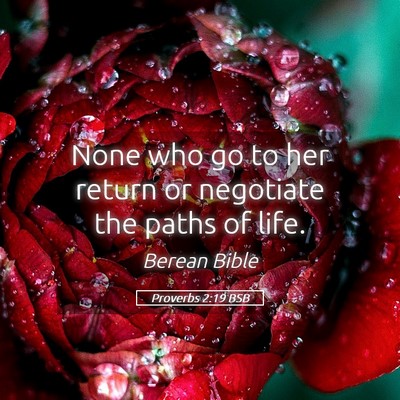 Picture 05 - Proverbs 2:19 BSB - None who go to her return or negotiate the paths - Bible Verse Picture