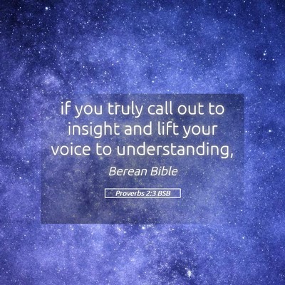 Picture 05 - Proverbs 2:3 BSB - if you truly call out to insight and lift your - Bible Verse Picture