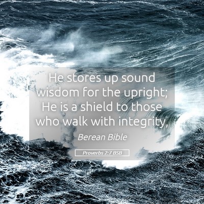 Picture 05 - Proverbs 2:7 BSB - He stores up sound wisdom for the upright; He is - Bible Verse Picture