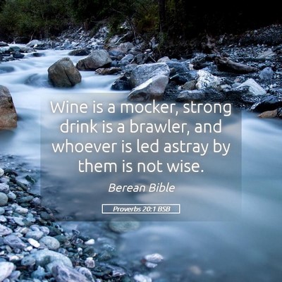 Picture 05 - Proverbs 20:1 BSB - Wine is a mocker, strong drink is a brawler, and - Bible Verse Picture