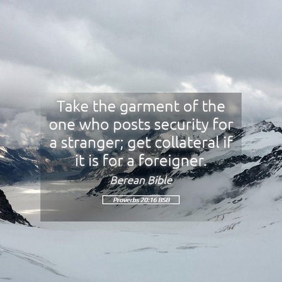 Picture 05 - Proverbs 20:16 BSB - Take the garment of the one who posts security - Bible Verse Picture