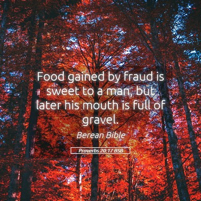 Picture 05 - Proverbs 20:17 BSB - Food gained by fraud is sweet to a man, but later - Bible Verse Picture