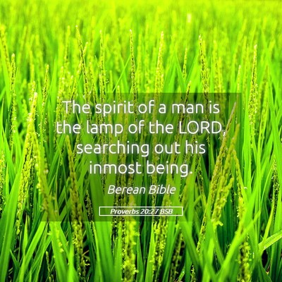 Picture 05 - Proverbs 20:27 BSB - The spirit of a man is the lamp of the LORD, - Bible Verse Picture