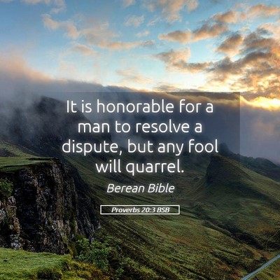 Picture 05 - Proverbs 20:3 BSB - It is honorable for a man to resolve a dispute, - Bible Verse Picture