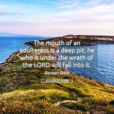 Picture 05 - Proverbs 22:14 BSB - The mouth of an adulteress is a deep pit; he who - Bible Verse Picture