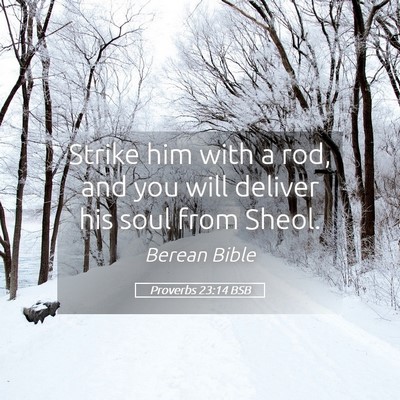 Picture 05 - Proverbs 23:14 BSB - Strike him with a rod, and you will deliver his - Bible Verse Picture
