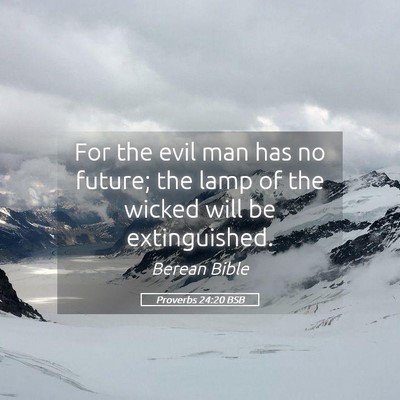 Picture 05 - Proverbs 24:20 BSB - For the evil man has no future; the lamp of the - Bible Verse Picture