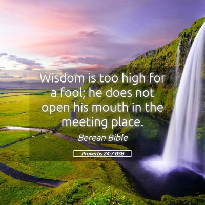 Picture 05 - Proverbs 24:7 BSB - Wisdom is too high for a fool; he does not open - Bible Verse Picture