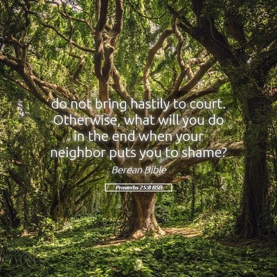 Picture 05 - Proverbs 25:8 BSB - do not bring hastily to court. Otherwise, what - Bible Verse Picture