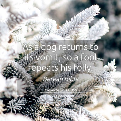 Picture 05 - Proverbs 26:11 BSB - As a dog returns to its vomit, so a fool repeats - Bible Verse Picture