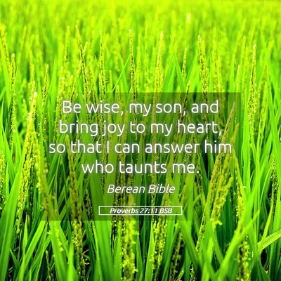 Picture 05 - Proverbs 27:11 BSB - Be wise, my son, and bring joy to my heart, so - Bible Verse Picture
