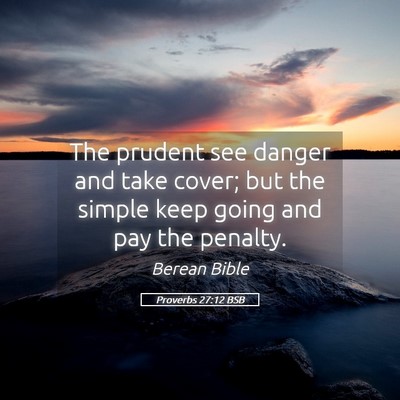 Picture 05 - Proverbs 27:12 BSB - The prudent see danger and take cover; but the - Bible Verse Picture
