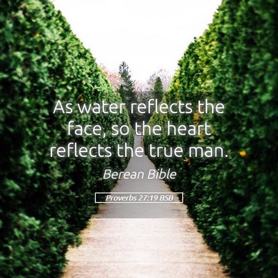 Picture 05 - Proverbs 27:19 BSB - As water reflects the face, so the heart reflects - Bible Verse Picture