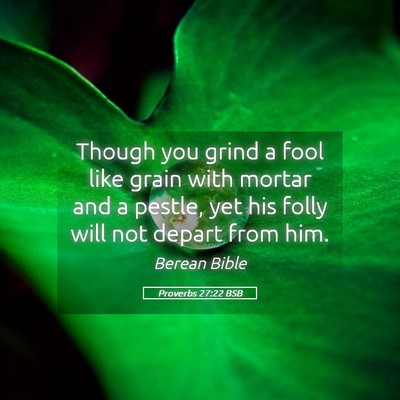 Picture 05 - Proverbs 27:22 BSB - Though you grind a fool like grain with mortar - Bible Verse Picture