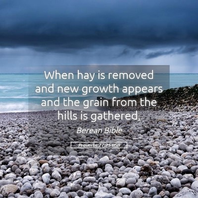 Picture 05 - Proverbs 27:25 BSB - When hay is removed and new growth appears and - Bible Verse Picture