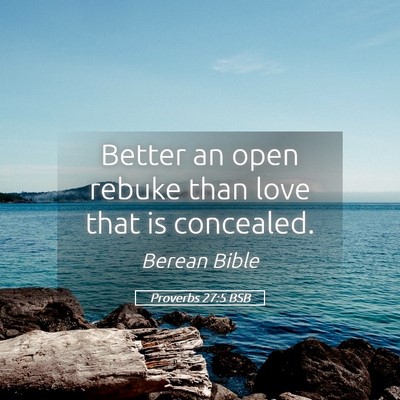 Picture 05 - Proverbs 27:5 BSB - Better an open rebuke than love that is - Bible Verse Picture